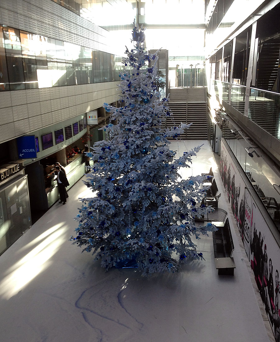 2013_12_sapin_LT.jpg, déc. 2013 2013_12_sapin_LT.jpg